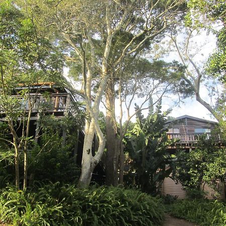 Treehouse Cottage The Crags Luaran gambar