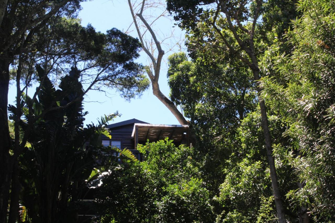 Treehouse Cottage The Crags Luaran gambar