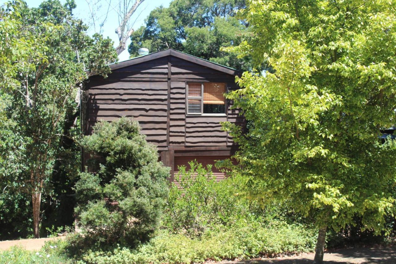 Treehouse Cottage The Crags Luaran gambar
