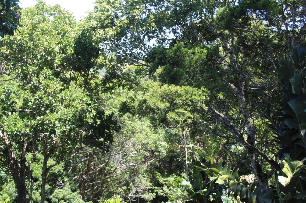 Treehouse Cottage The Crags Luaran gambar