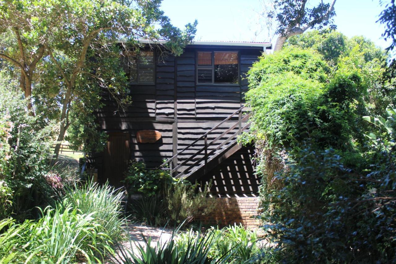 Treehouse Cottage The Crags Luaran gambar