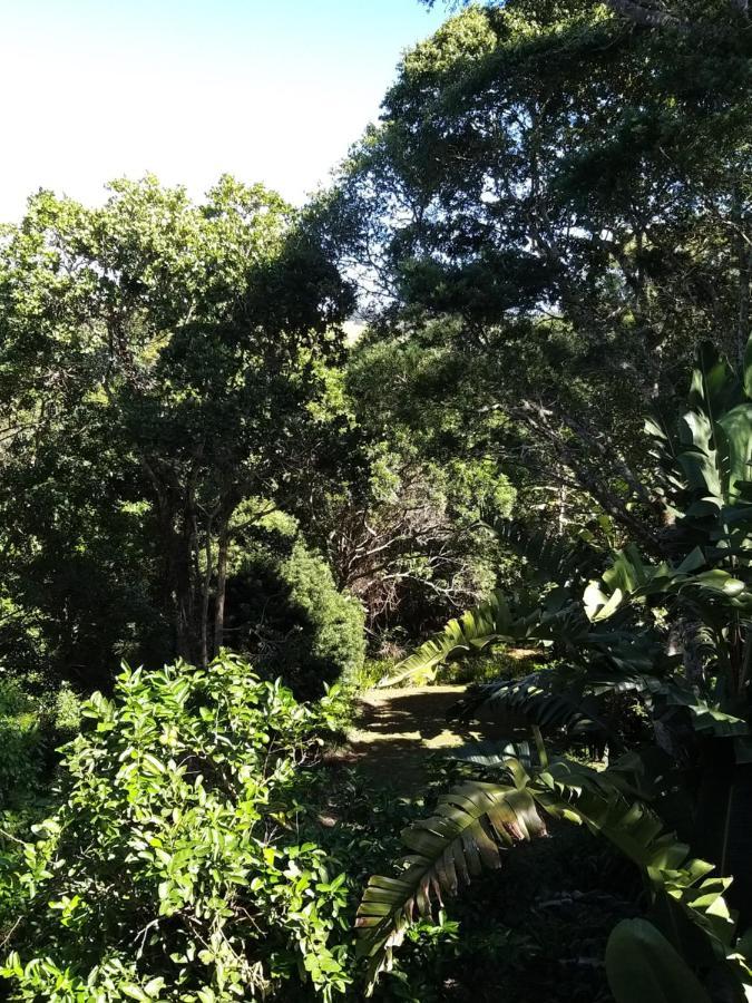 Treehouse Cottage The Crags Luaran gambar