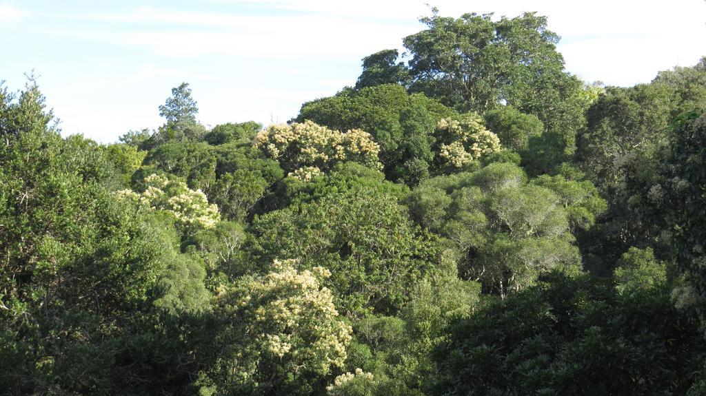 Treehouse Cottage The Crags Bilik gambar