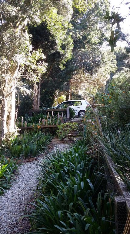 Treehouse Cottage The Crags Luaran gambar