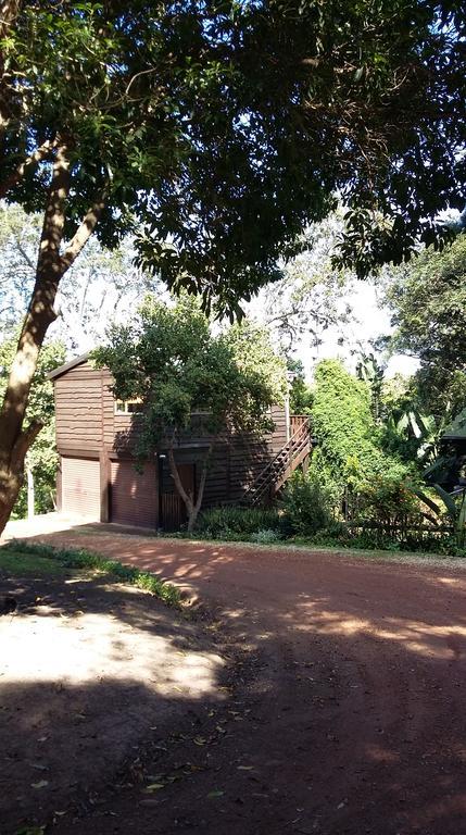 Treehouse Cottage The Crags Luaran gambar