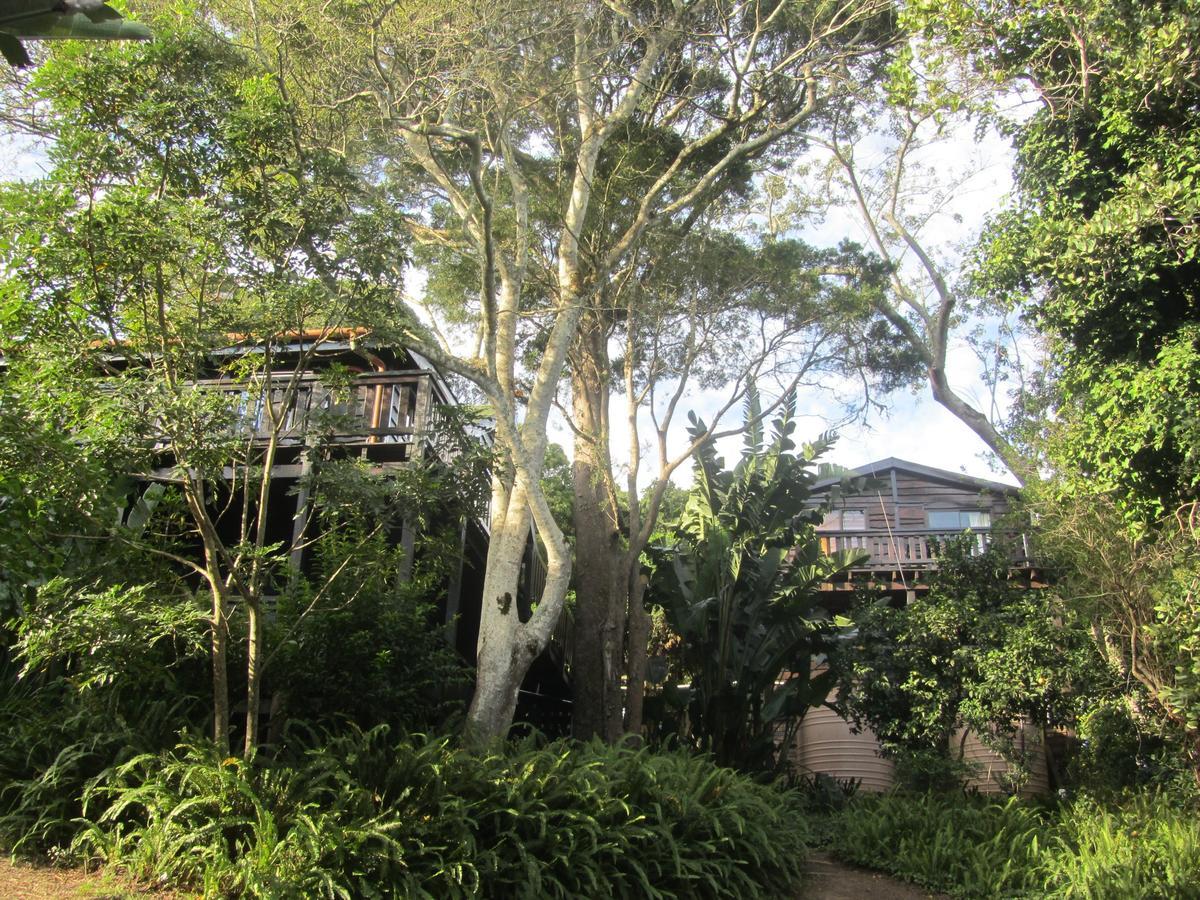 Treehouse Cottage The Crags Luaran gambar